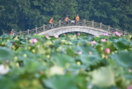 守好绿水青山 换来金山银山——福建三明市践行“两山论”样本观察