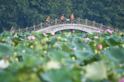 守好绿水青山 换来金山银山——福建三明市践行“两山论”样本观察