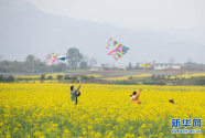 川西平原花季之旅