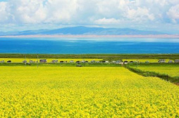 这个地方，习近平一直高度关注