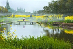 从治污到植绿护绿　三星镇的绿色发展之路