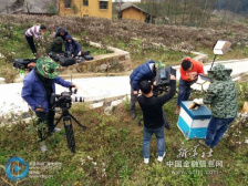 三峡蜜罐迎来首秀