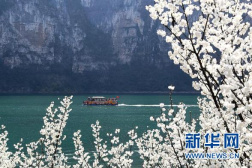 脱贫攻坚助力贵州山乡苗寨从“贫困边缘”奔向“旅游前沿”