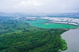 昆明阳宗海风景名胜区：映日荷花别样红