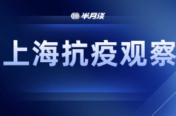 上海抗疫观察 “上海团长”能给基层治理带来什么启示?