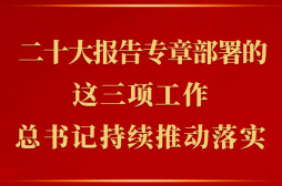 二十大报告专章部署的这三项工作，总书记持续推动落实