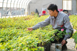 九千“职称农民”带活齐鲁乡村