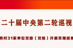 二十届中央第二轮巡视对象公布