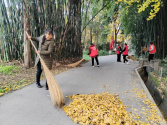 如何提升乡村治理水平？这些地方有妙招