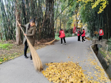 如何提升乡村治理水平？这些地方有妙招