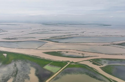 围湖造地、圈水养殖……鄱阳湖水域非法矮围何时休？