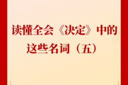 新闻多一点丨读懂全会《决定》中的这些名词（五）