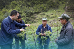 聚人才之力 筑复兴之基——新时代人才事业发展成就综述