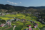 贵阳“沃土计划”为粮食高产筑基