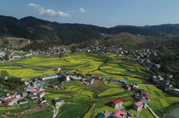 贵阳“沃土计划”为粮食高产筑基