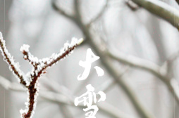 节令之美·大雪丨7日17时33分大雪：天人宁许巧，剪水作花飞