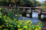 长江古驿再次“因水而荣”