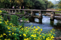 长江古驿再次“因水而荣”