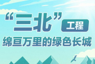 1年造林种草4000万亩！北疆绿色长城在加固